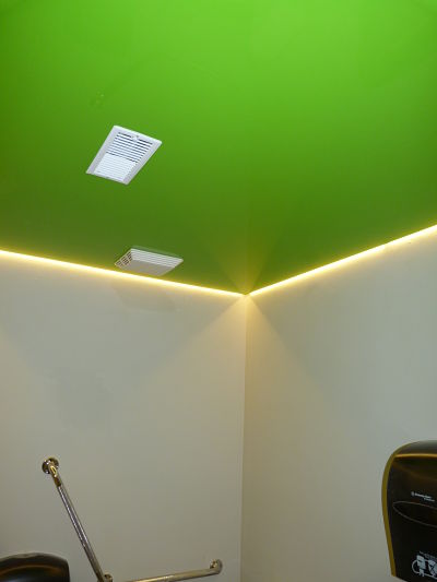 14 12 4 restroom green lacquered ceiling