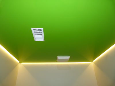 14 12 4 restroom green lacquered ceiling2