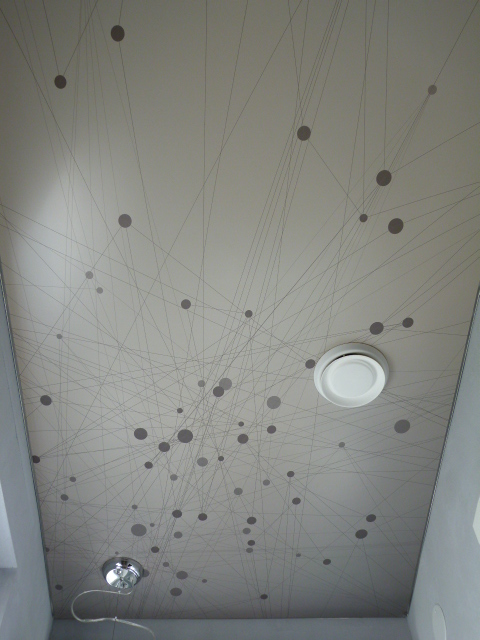 1509 ceiling with imprint 3